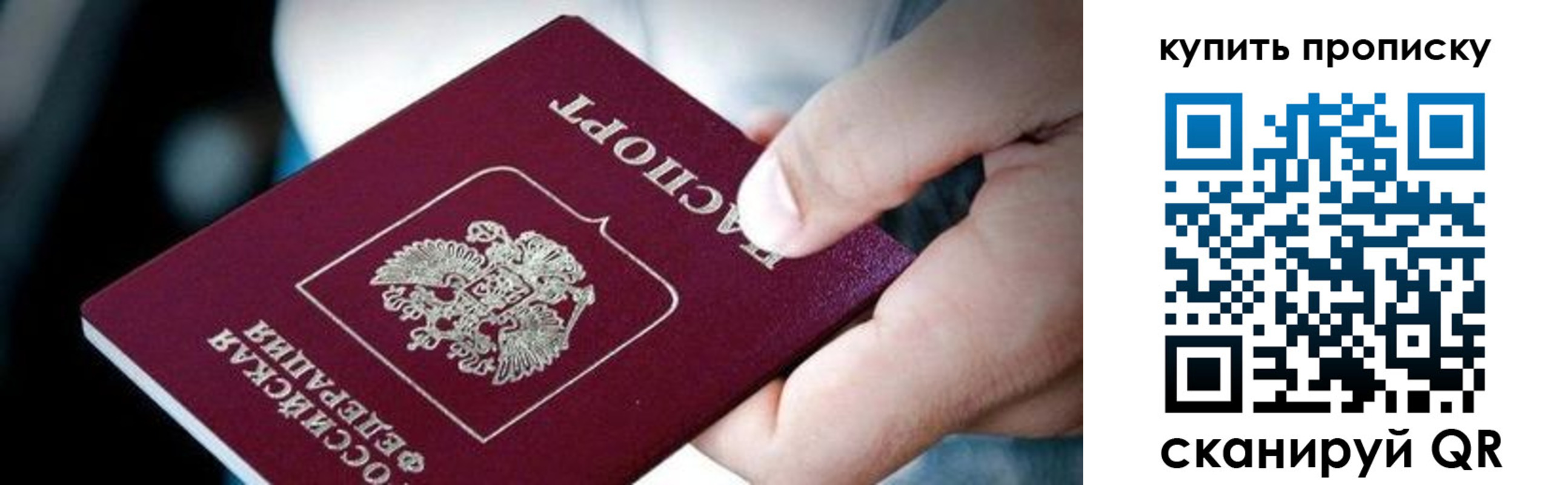 прописка поиск в Димитровграде
